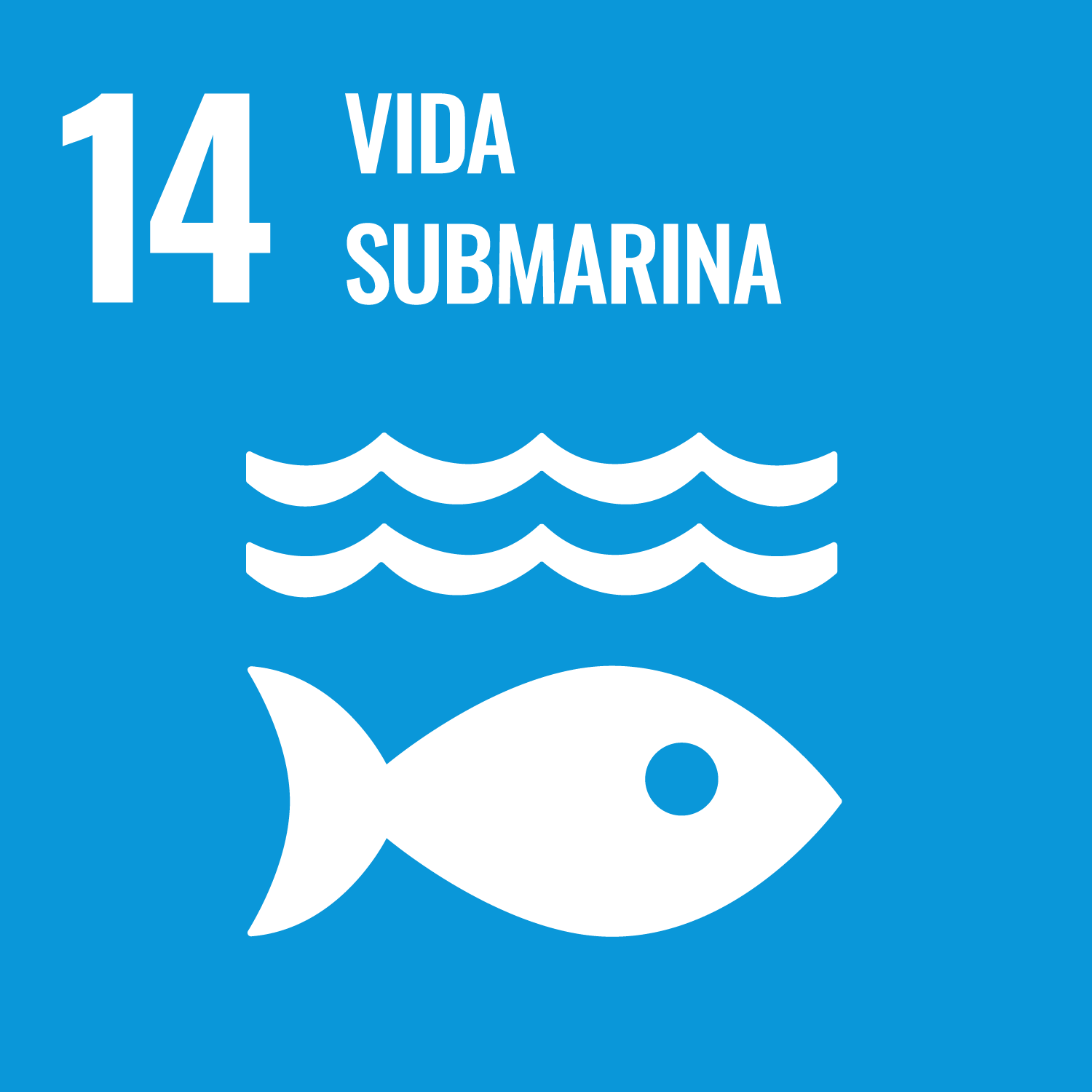 S WEB Goal 14